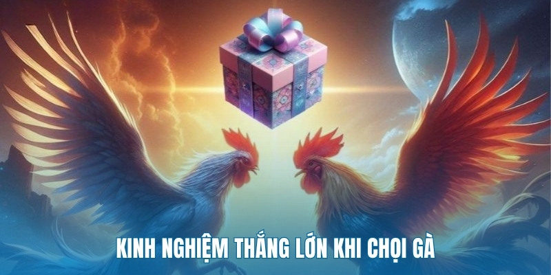 kinh-nghiem-thang-lon-khi-choi-ga